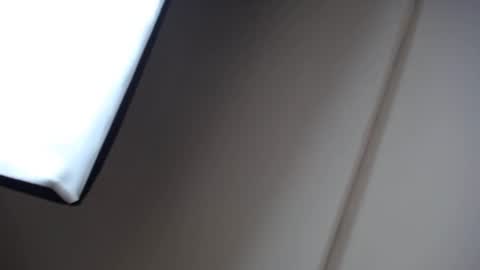 Snapshot of alicia_wonder_dl chatting on 4, 1, 2025 Ali online show from 4, 1, 2025