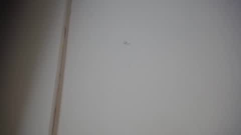 Snapshot of alicia_wonder_dl chatting on 10, 1, 2025 Ali online show from 10, 1, 2025