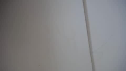 Snapshot of alicia_wonder_dl chatting on 17, 2, 2025 Ali online show from 17, 2, 2025