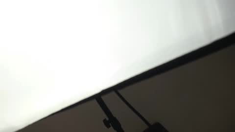 Snapshot of alicia_wonder_dl chatting on 7, 3, 2025 Ali online show from 7, 3, 2025
