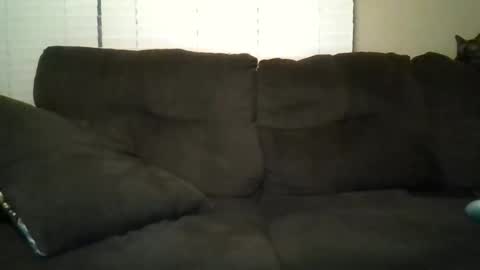 Snapshot of aliendick2274 chatting on 24, 2, 2026 aliendick2274 online show from 24, 2, 2026