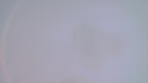 Snapshot of alienexxx chatting on 14, 2, 2025 online show from 14, 2, 2025