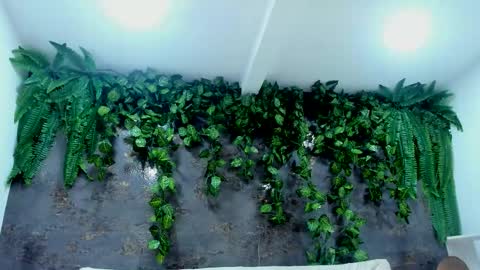 Snapshot of aliice_greco chatting on 24, 11, 2025 Alice online show from 24, 11, 2025