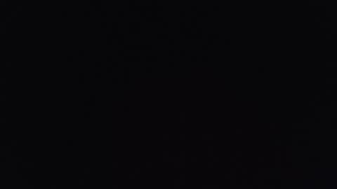     online show from 1, 12, 2025