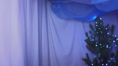 Snapshot of alisia_spinnet chatting on 30, 12, 2024 Alisia online show from 30, 12, 2024