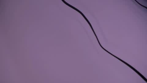 alison smith online show from 5, 12, 2024