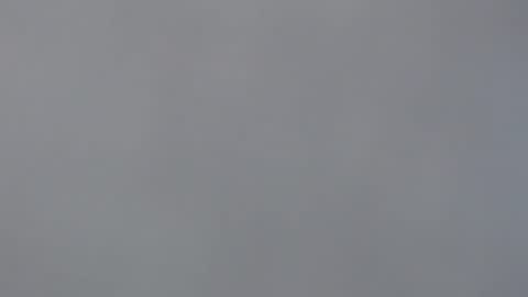 aliuno12345678 online show from 29, 12, 2024