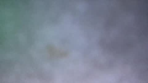 Snapshot of all_most_sane chatting on 17, 5, 2026 all_most_sane online show from 17, 5, 2026