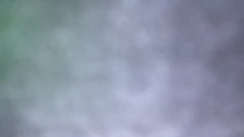 Snapshot of all_most_sane chatting on 18, 5, 2026 all_most_sane online show from 18, 5, 2026