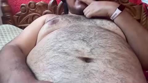 Giant Latino Bear online show from 18, 5, 2026