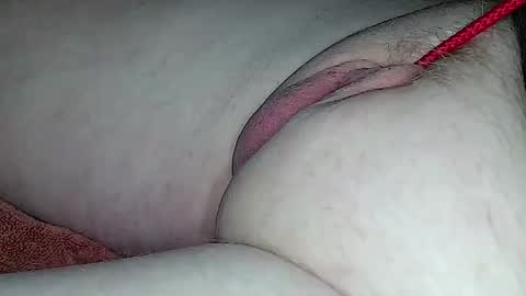 Growing Wiener online show from 24, 12, 2024