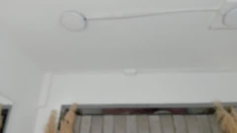    online show from 2, 2, 2026