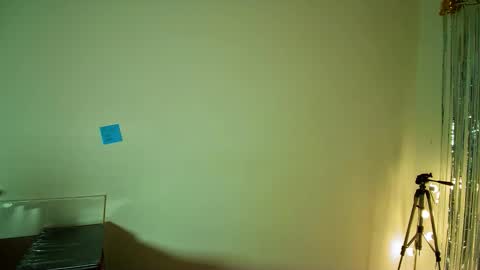 Snapshot of allisson_rose chatting on 7, 11, 2025 Alli online show from 7, 11, 2025