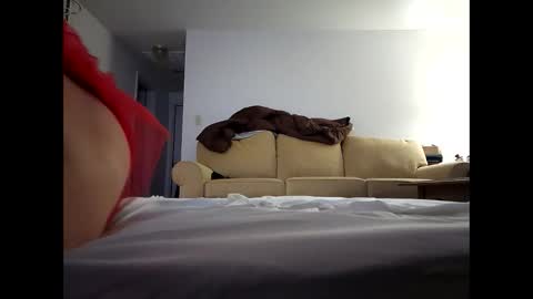 alllursss online show from 20, 12, 2024