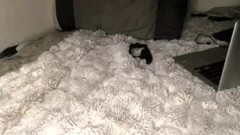 allthewayup10 online show from 2, 3, 2025