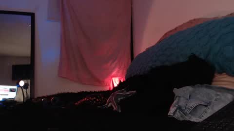 Snapshot of ally_donfort chatting on 16, 2, 2025 Ally online show from 16, 2, 2025