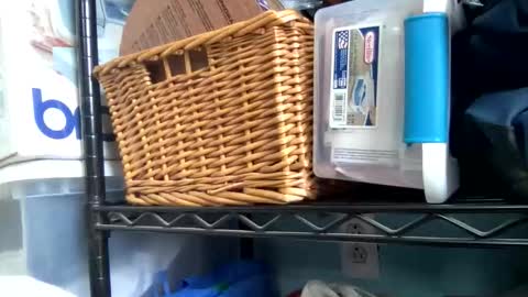 allyanalangel online show from 5, 1, 2026