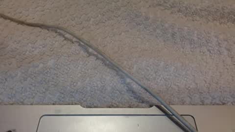 Snapshot of alongwhitedick chatting on 12, 3, 2025 ALongwhitedick online show from 12, 3, 2025