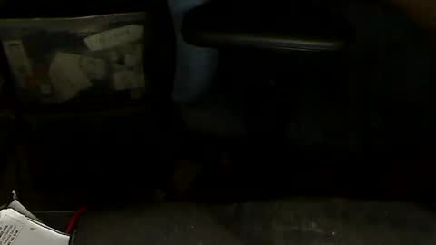 Snapshot of aloooopyscot chatting on 20, 1, 2025 Loooopy online show from 20, 1, 2025