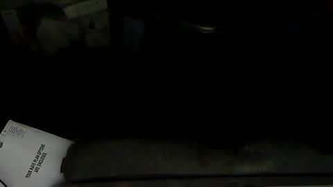 Snapshot of aloooopyscot chatting on 1, 2, 2025 Loooopy online show from 1, 2, 2025