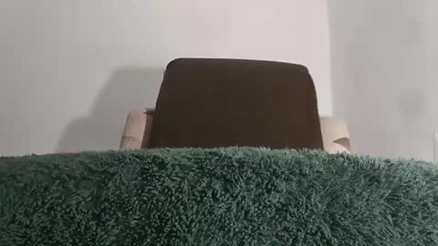 Snapshot of alotofcream chatting on 8, 11, 2025 alotofcream4u online show from 8, 11, 2025