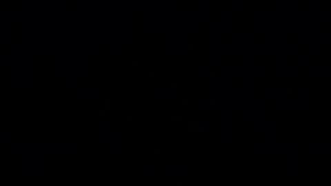 AlphAndre online show from 14, 4, 2026