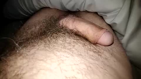 Snapshot of altirando3 chatting on 14, 1, 2025 gordy2263 online show from 14, 1, 2025