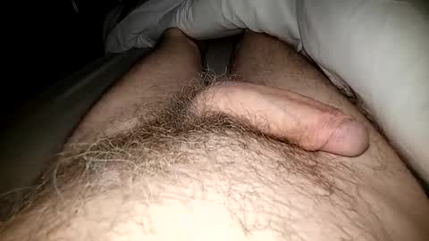 Snapshot of altirando3 chatting on 3, 3, 2025 gordy2263 online show from 3, 3, 2025