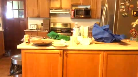 Alvie online show from 26, 1, 2025