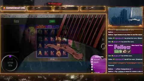 Amanda online show from 13, 12, 2024