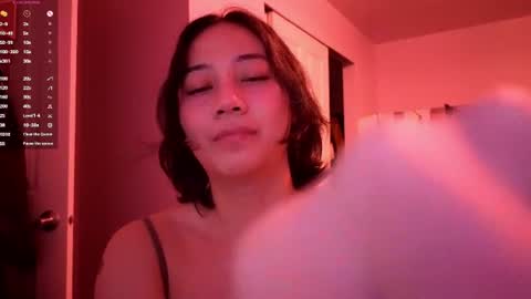 leash online show from 25, 6, 2026
