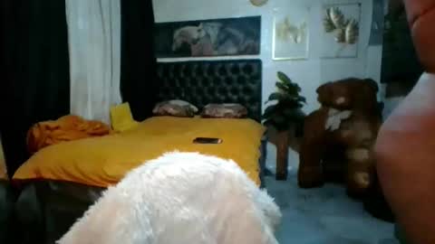 Snapshot of amazingbombshellx chatting on 11, 2, 2026 kendra online show from 11, 2, 2026