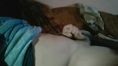 amazingcuteboy845 online show from 18, 10, 2025