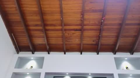 Ambar  online show from 30, 3, 2026