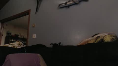 Snapshot of ambers666999 chatting on 25, 10, 2025 ambers666999 online show from 25, 10, 2025