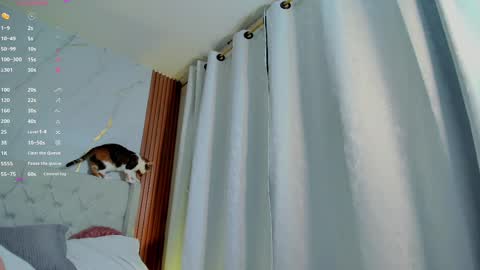 Snapshot of amelie_leigh chatting on 28, 2, 2025 Alejandra online show from 28, 2, 2025