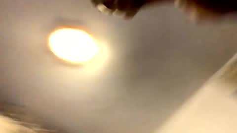 amendolaa536 online show from 6, 11, 2025