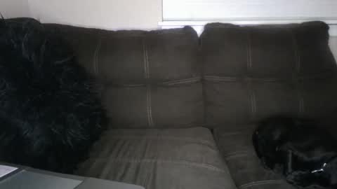 Snapshot of amiri_sweater chatting on 2, 3, 2025 amiri_sweater online show from 2, 3, 2025