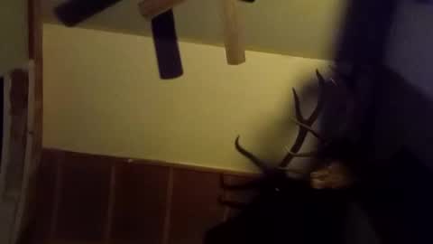 Snapshot of ammoman22 chatting on 9, 3, 2025 ammoman22 online show from 9, 3, 2025