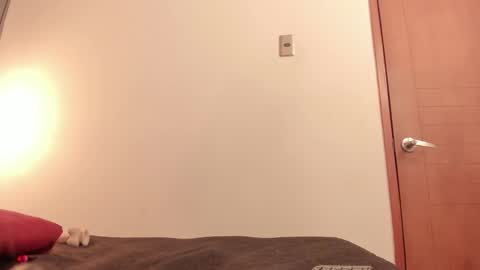 Snapshot of ammytorrez_ chatting on 11, 9, 2025 ammytorrez_ online show from 11, 9, 2025