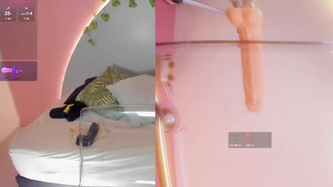 Snapshot of amy_vans_ chatting on 11, 3, 2025 Amy nickname Kirby online show from 11, 3, 2025