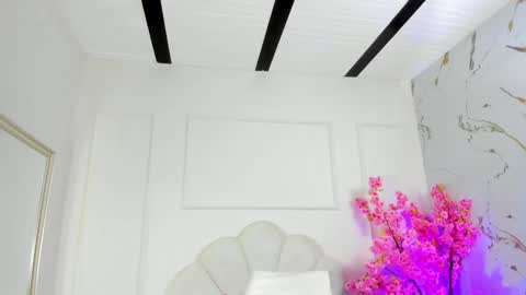 Amykord online show from 15, 10, 2025