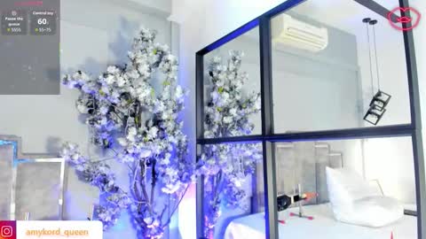 Amykord online show from 19, 2, 2026