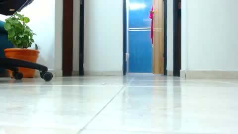 anaids online show from 1, 1, 2025