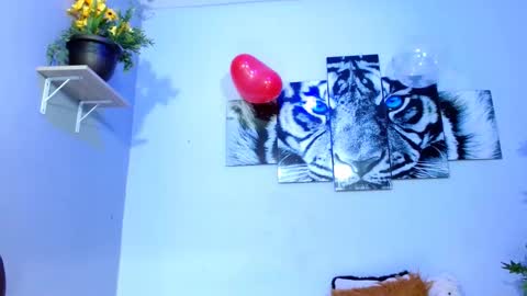 Analia online show from 15, 2, 2025