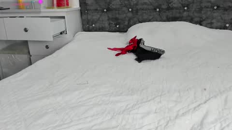  ANASTASIA DANGER  online show from 1, 1, 2025