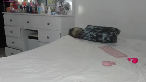  ANASTASIA DANGER  online show from 11, 3, 2026