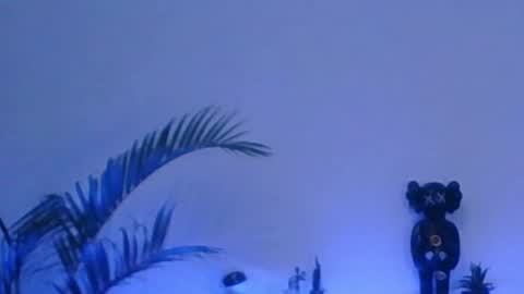 Snapshot of andersonz98 chatting on 17, 12, 2025 andersonZ98 online show from 17, 12, 2025