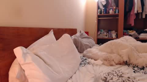 Snapshot of andrasweetie chatting on 25, 2, 2025 Andra online show from 25, 2, 2025