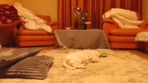 Snapshot of andrasweetie chatting on 18, 11, 2025 Andra online show from 18, 11, 2025